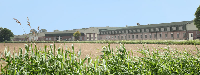 compost-production